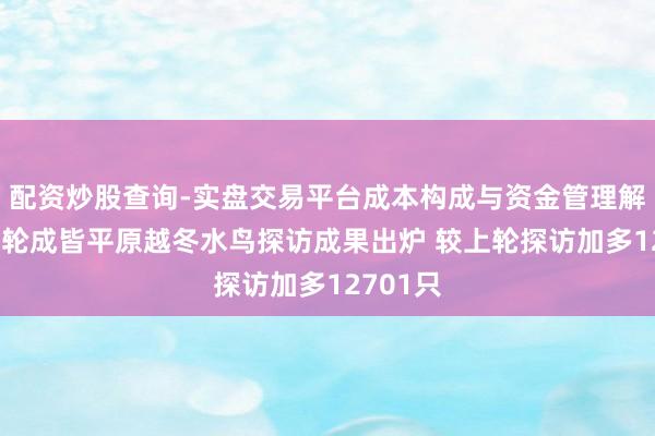 配资炒股查询-实盘交易平台成本构成与资金管理解析 第十轮成皆平原越冬水鸟探访成果出炉 较上轮探访加多12701只