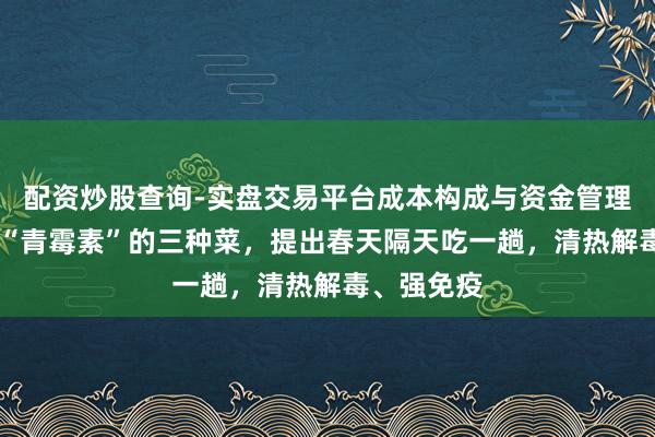 配资炒股查询-实盘交易平台成本构成与资金管理解析 自带“青霉素”的三种菜，提出春天隔天吃一趟，清热解毒、强免疫
