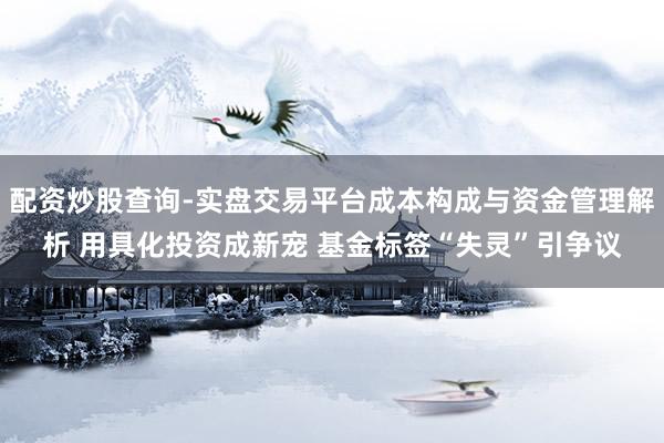 配资炒股查询-实盘交易平台成本构成与资金管理解析 用具化投资成新宠 基金标签“失灵”引争议