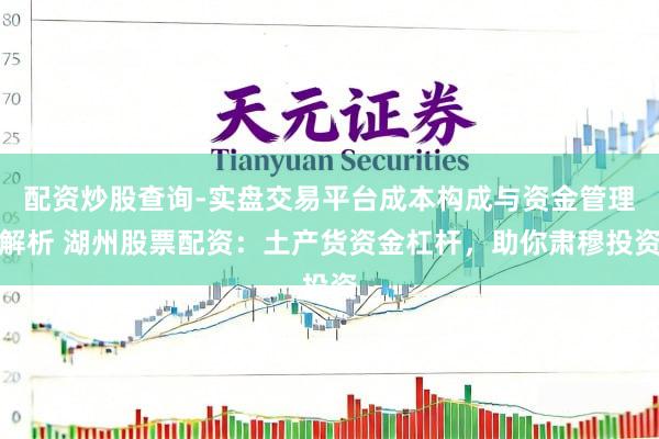 配资炒股查询-实盘交易平台成本构成与资金管理解析 湖州股票配资：土产货资金杠杆，助你肃穆投资