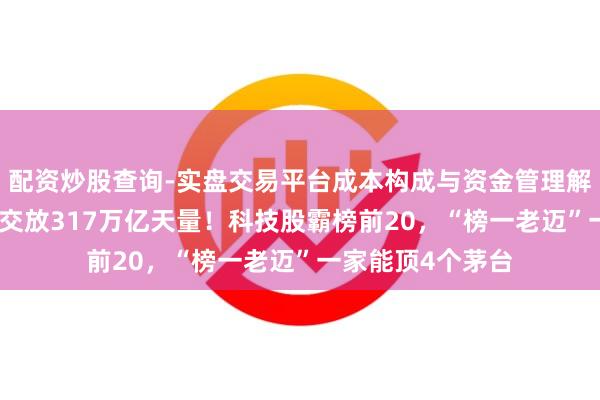 配资炒股查询-实盘交易平台成本构成与资金管理解析 A股上半年景交放317万亿天量！科技股霸榜前20，“榜一老迈”一家能顶4个茅台