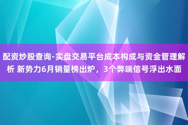配资炒股查询-实盘交易平台成本构成与资金管理解析 新势力6月销量榜出炉，3个弊端信号浮出水面